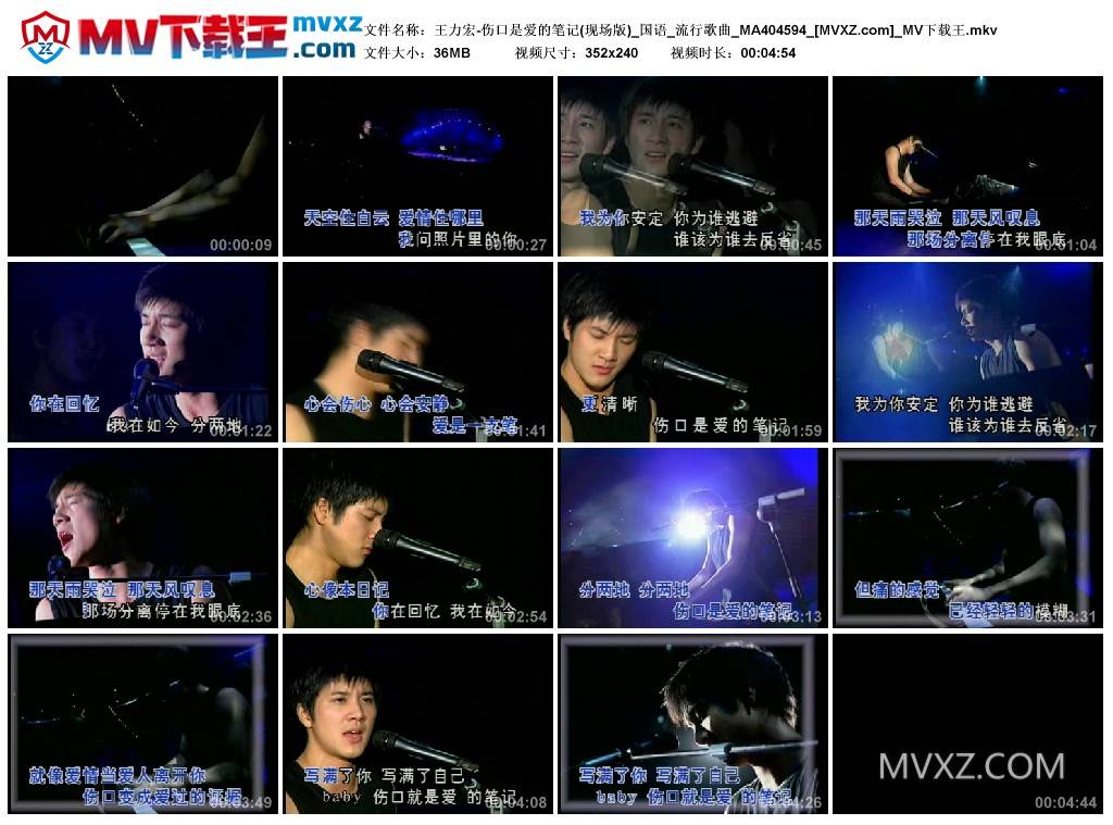 王力宏-伤口是爱的笔记(现场版)_国语_流行歌曲_MA404594